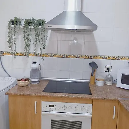 Vacational Homes South Organic Apartament