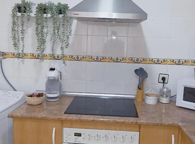 Vacational Homes South Organic Apartment